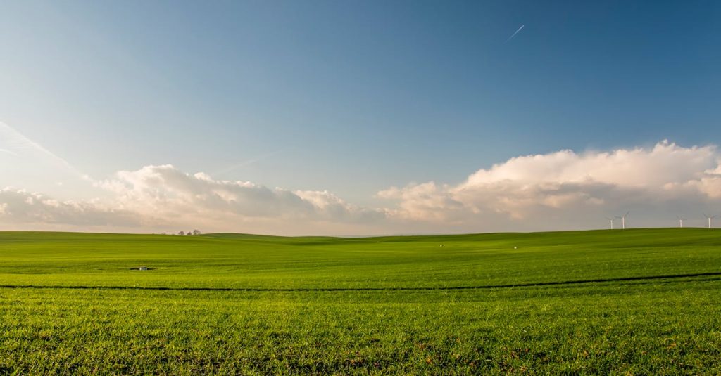découvrez 'land', un concept captivant qui explore la relation entre l'homme et la nature. plongez dans un univers où chaque paysage raconte une histoire, et où chaque pas vous rapproche de la beauté environnante. parfait pour les amoureux de la terre et les aventuriers en quête d'inspiration.