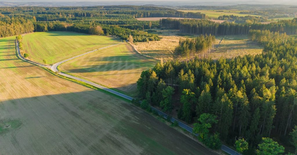 découvrez des terrains à vendre, idéaux pour réaliser vos projets immobiliers ou bâtir la maison de vos rêves. explorez nos offres variées et trouvez le terrain parfait qui répond à vos besoins.