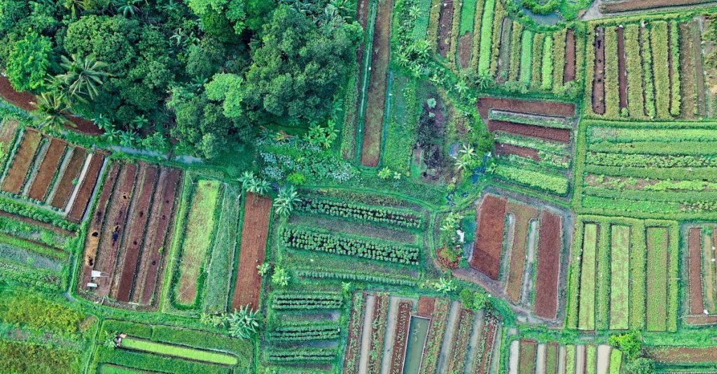 découvrez notre plateforme dédiée à l'exploration de la terre, de l'environnement et de l'agriculture durable. plongez dans un univers riche en ressources, conseils et innovations pour une gestion optimale de nos terres.