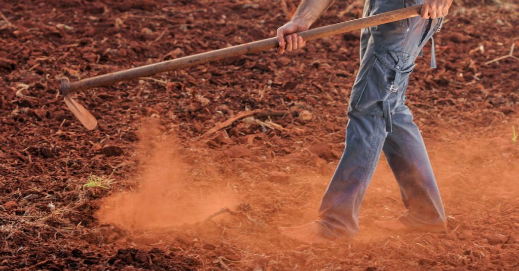 découvrez l'univers fascinant de 'land', une exploration des terres, des paysages et des écosystèmes. plongez dans un voyage captivant à travers la nature, l'agriculture et l'environnement, et apprenez comment préserver notre précieuse planète.