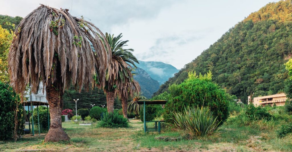découvrez des terrains à vendre qui répondent à toutes vos envies. investissez dans votre futur en choisissant parmi une sélection variée de parcelles idéalement situées.