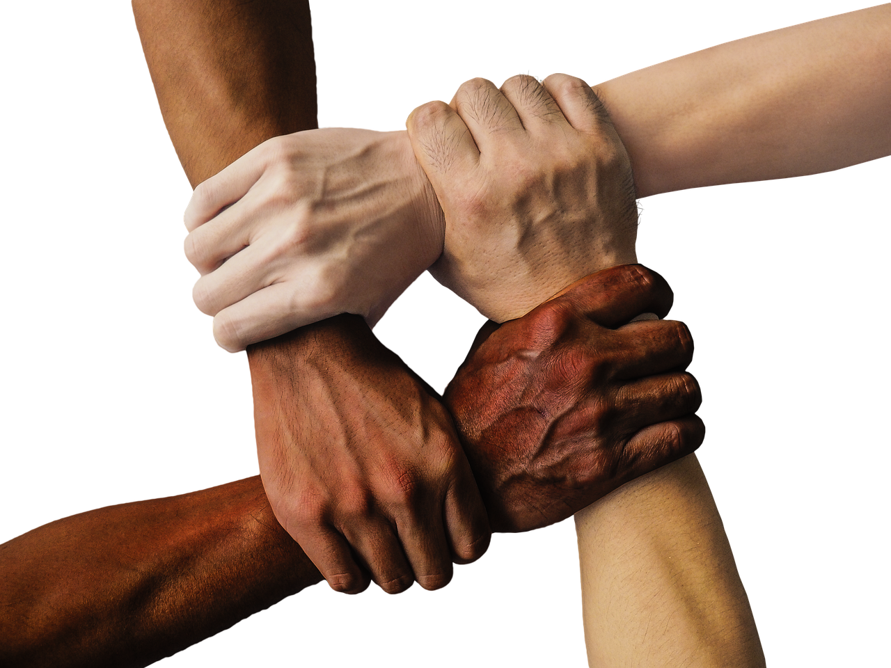 découvrez notre communauté dynamique où l'échange d'idées et la collaboration sont au cœur de chaque interaction. rejoignez-nous pour partager vos passions, apprendre des autres et construire des connexions significatives.