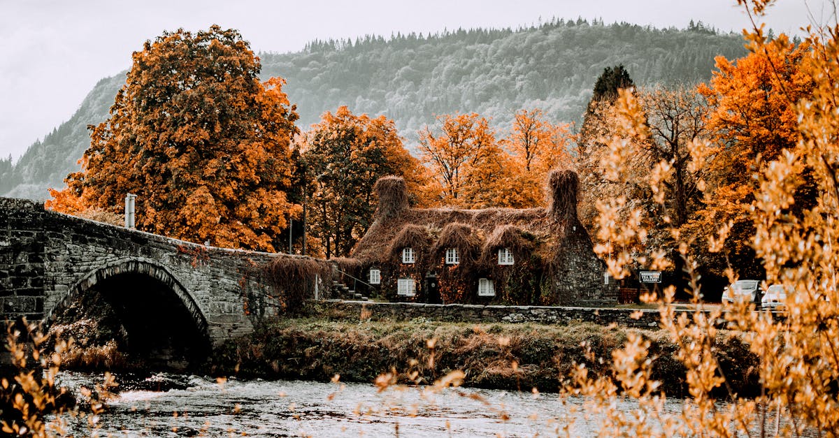 découvrez la destination idéale pour vos prochaines vacances : paysages à couper le souffle, culture riche et activités passionnantes vous attendent. évadez-vous et vivez des expériences inoubliables.