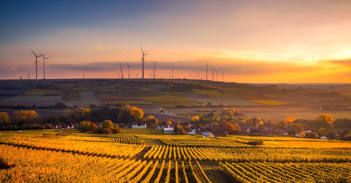 découvrez les enjeux cruciaux de l'environnement, les actions pour sa préservation et les solutions durables pour un avenir meilleur. engagez-vous pour une planète plus verte et apprenez comment chacun peut contribuer à la protection de notre écosystème.