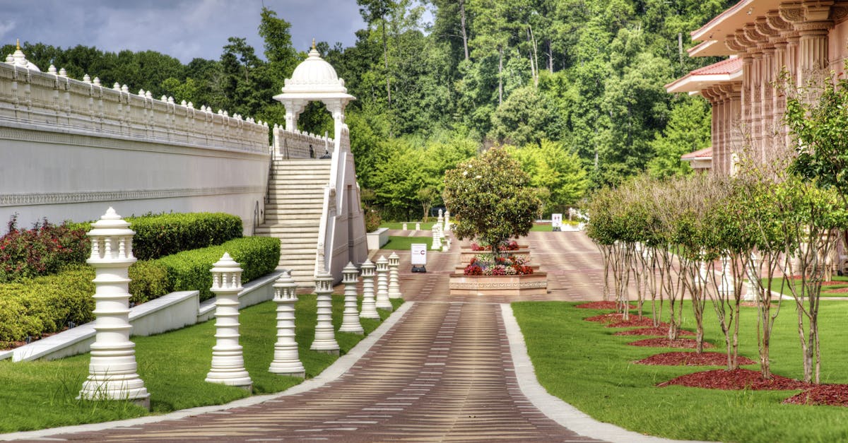 découvrez l'univers enchanteur des jardins : conseils de jardinage, idées de décoration extérieure et astuces pour créer un havre de paix dans votre espace vert.
